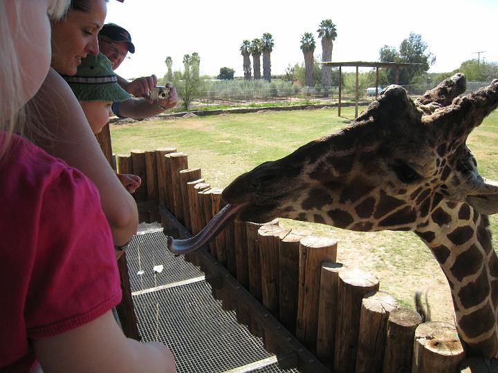 2nd Birthday at the zoo 27.JPG